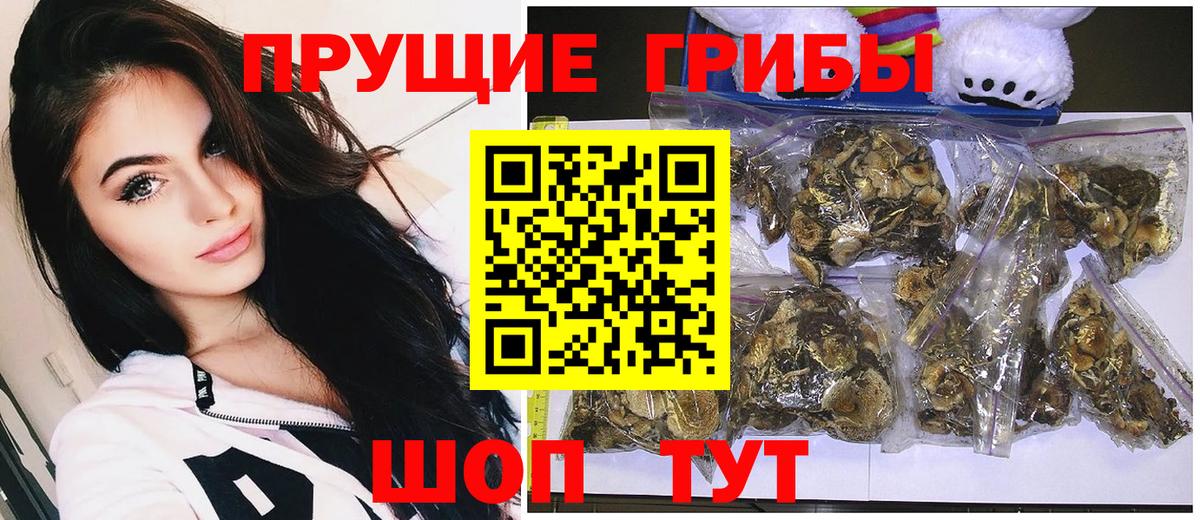 Новочеркасск  Галлюциногенные грибы прущие грибы  Галлюциногенные грибы Psilocybine cubensis  Вход с VPN 